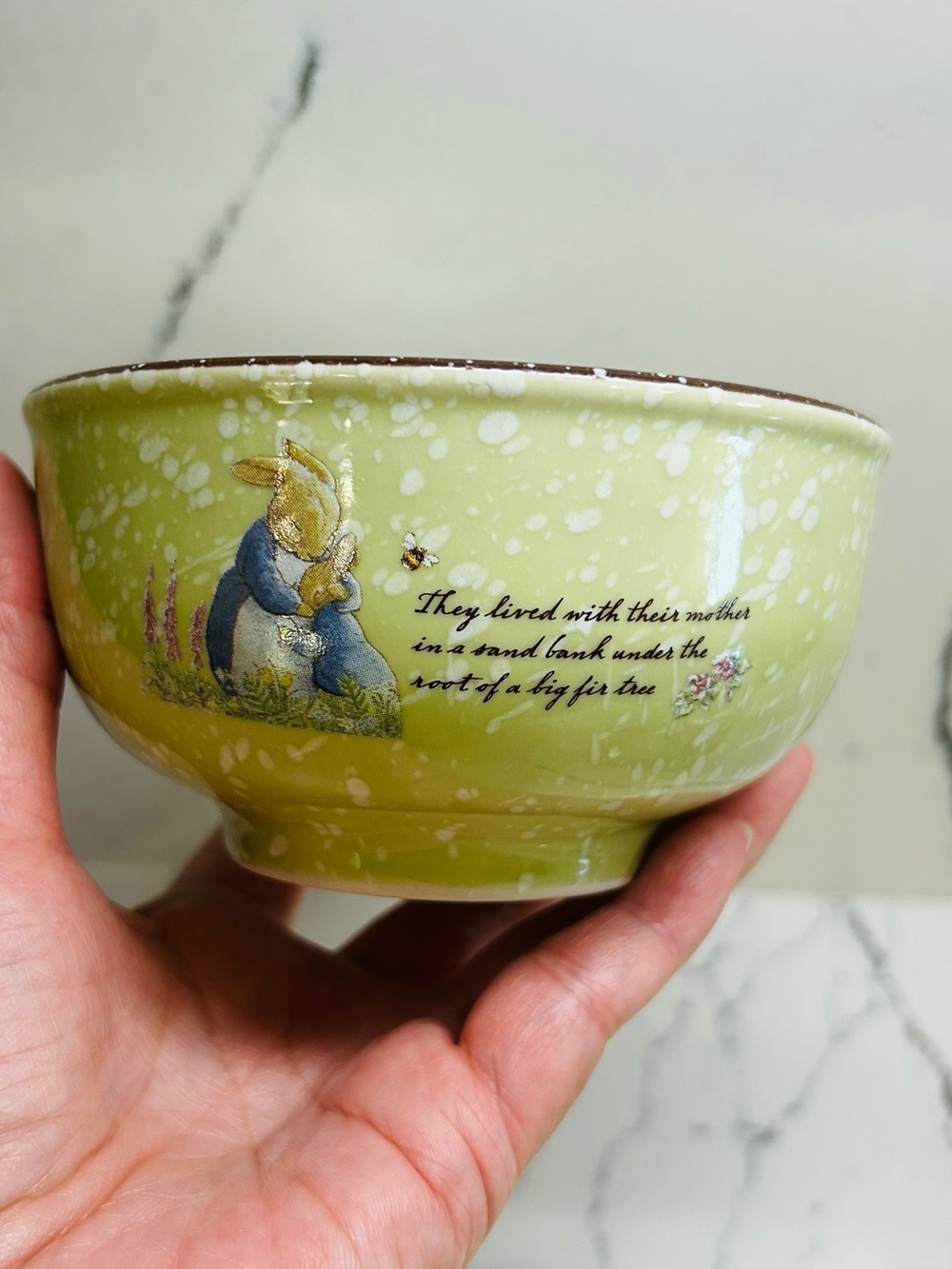 Green Beatrix Potter Peter Rabbit Ceramic Bowl